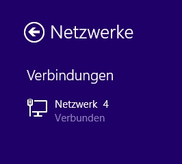 Netzwerk Logo