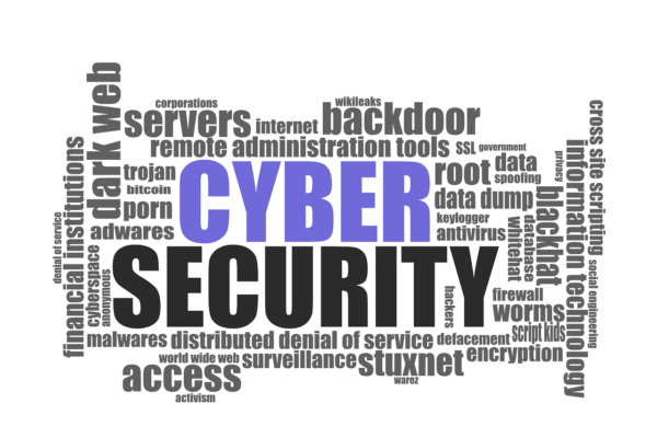 cyber security Darwin Laganzon auf Pixabay