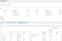 Ivanti Ring Development Patch State